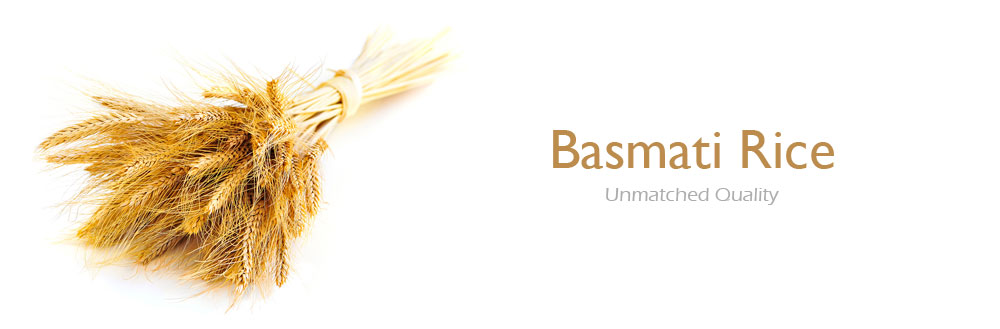 Basmathi Rice